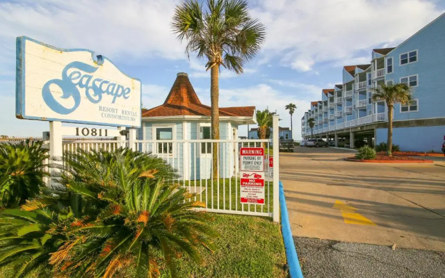 Parrot Paradise by Ryson Vacation Rentals