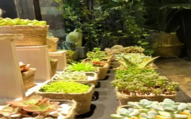 Guichao Theme Hotel