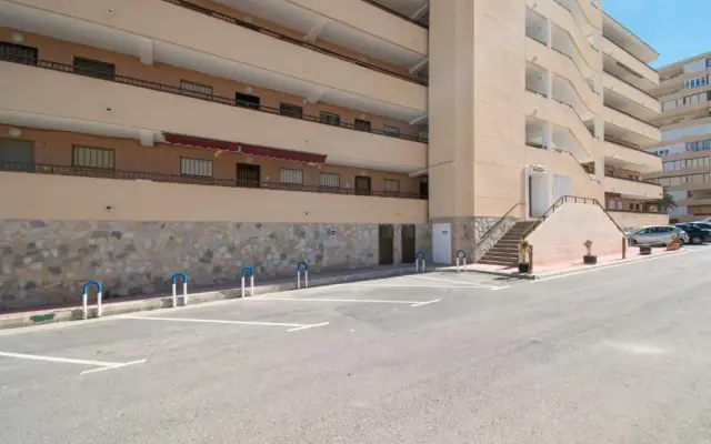 074 Tropical Paradise - Alicante Holiday