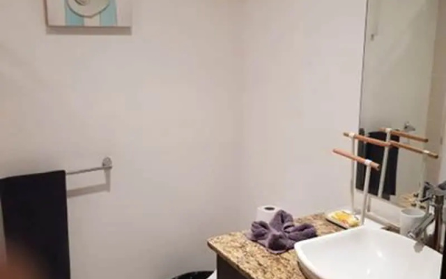 Jacobaydreams Oasis