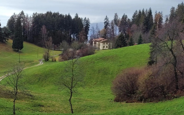 Green House nel bosco
