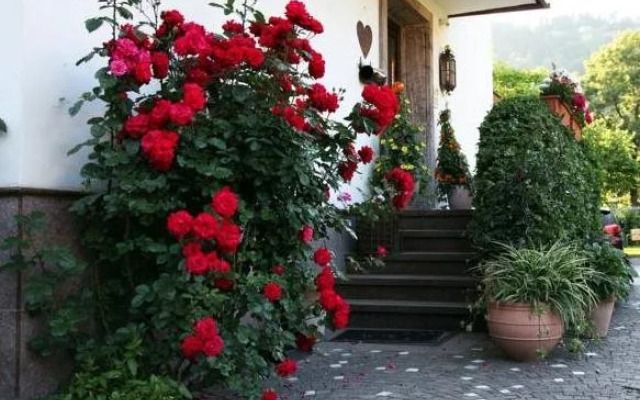 Appartments Schrina
