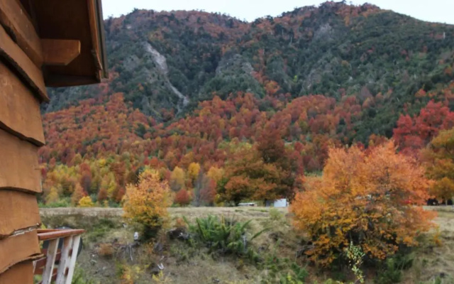 Chile Wild - Las Vertientes