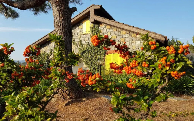 Casa Lavanda