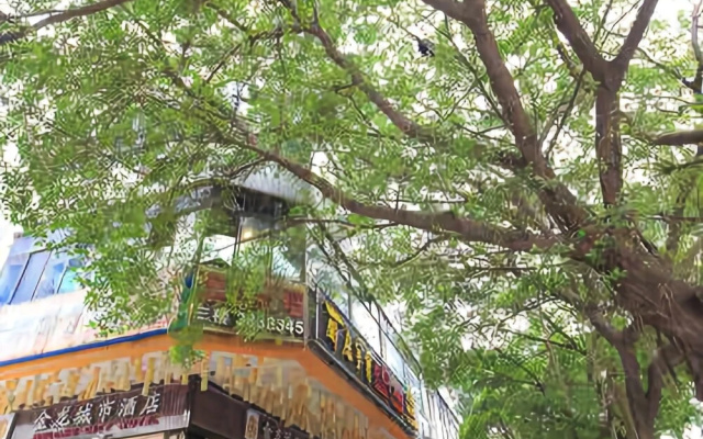 Jinlong City Hotel