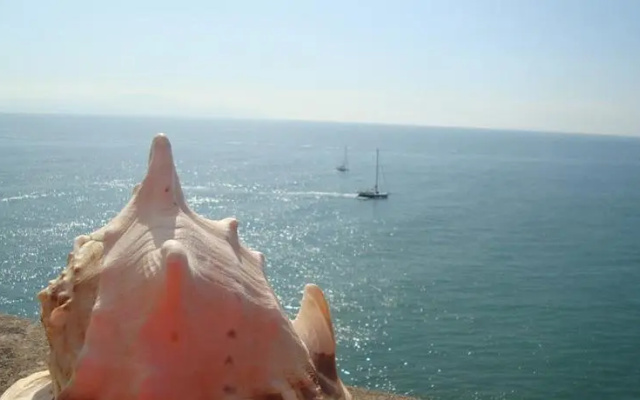 Sulmare