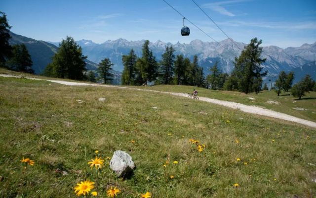 Diablerets SKI LIFT & MOUNTAIN apartments