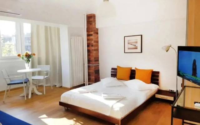 Piata Victoriei Sanador Studio Apartment