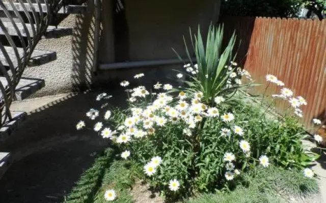 Lizi-Dia House Anaklia