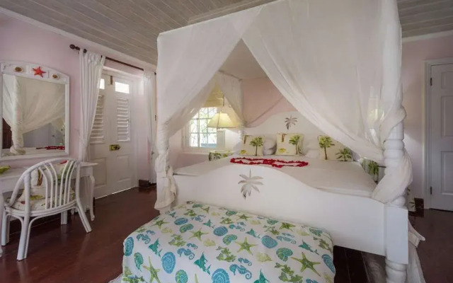 Bellevue Plantation & Polo Club