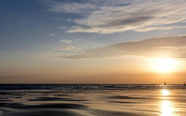 Boszicht aan de Kust 2