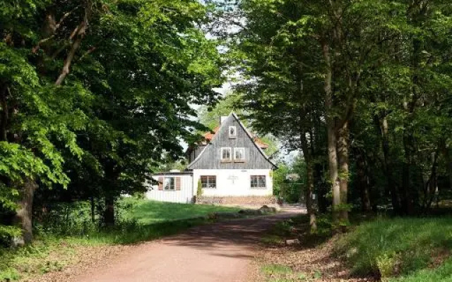 Sängerwiese