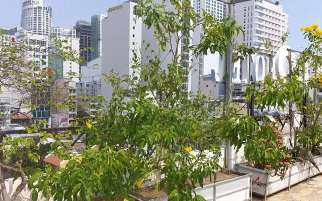 Ximao Hotel Nha Trang by ZUZU