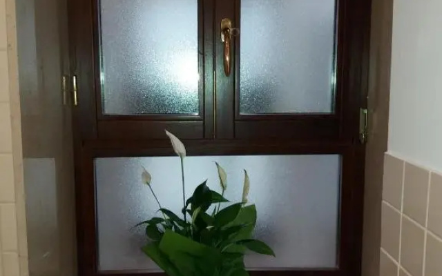 Fiore della Laguna