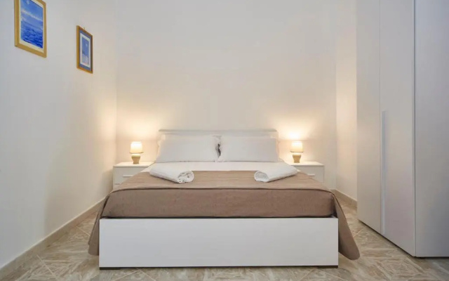 B&B Radici