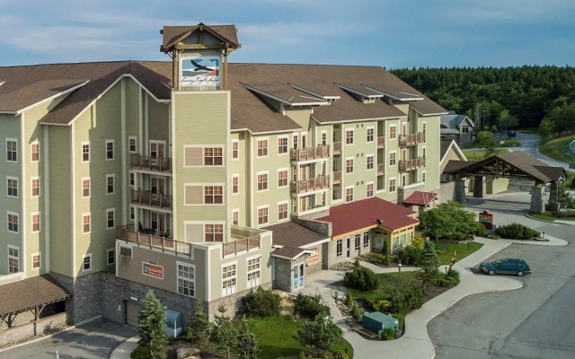 3 Br: Soaring Eagle 301