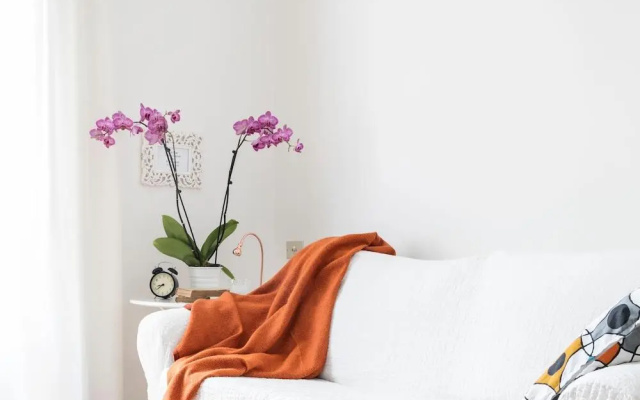 Active Rent Sempione