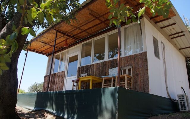Shiva Camp Турция, Кабак - отзывы, цены и фото номеров - забронировать отель Shiva Camp онлайн вид на фасад