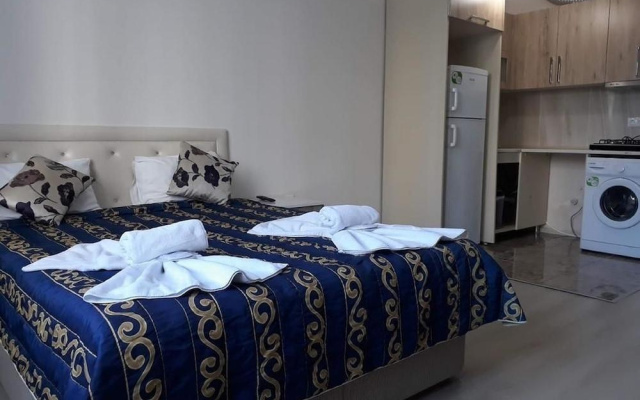Apartment 16 Pirosmani Street