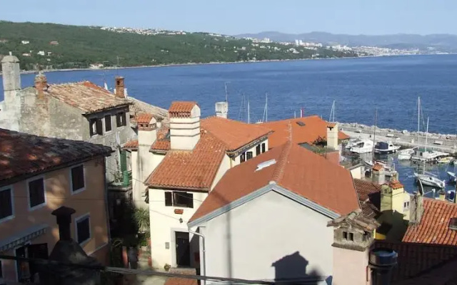 Apartment Brajdica