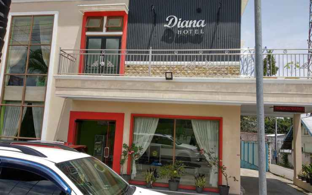 Hotel Diana Pangkalan Bun