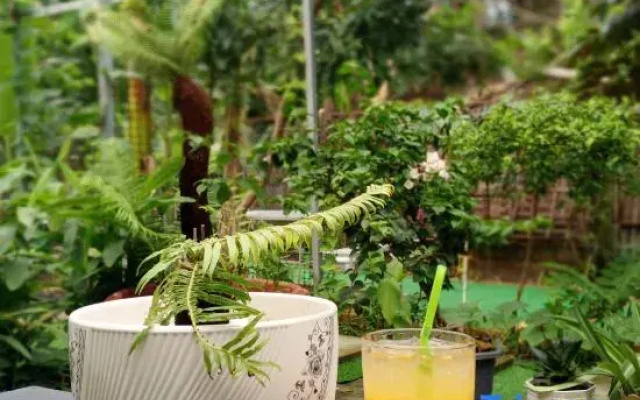 Homestay Golf & Coffee - Bi Phu Quoc