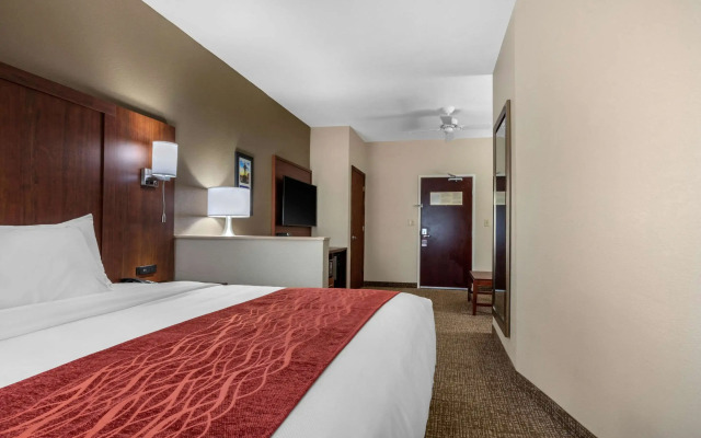 Comfort Inn & Suites Montgomery East Carmichael Rd