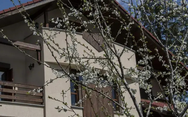 Transylvanian Villa