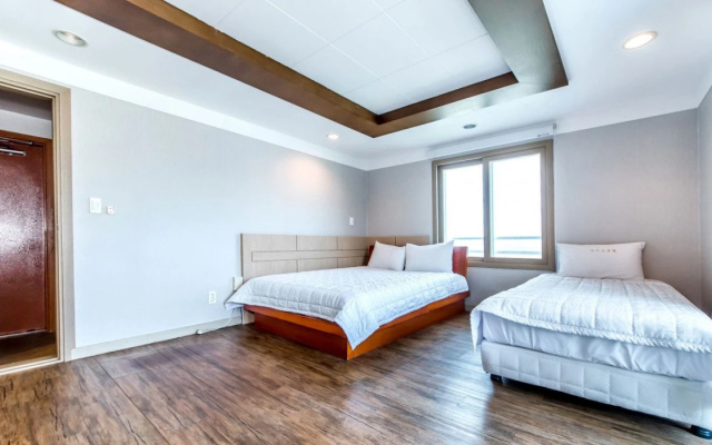 Hotel Navis