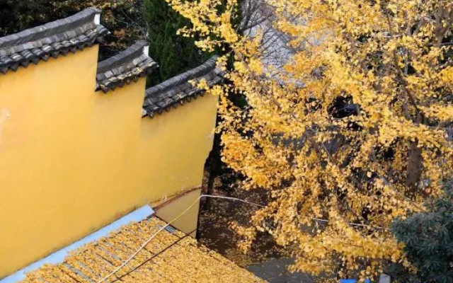 Zheman Kongmiao·Fuxueli Hotel（quzhou shop)