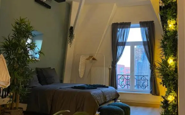 Zen - Roubaix-Lille - Balneo - Home Cinema - Billard