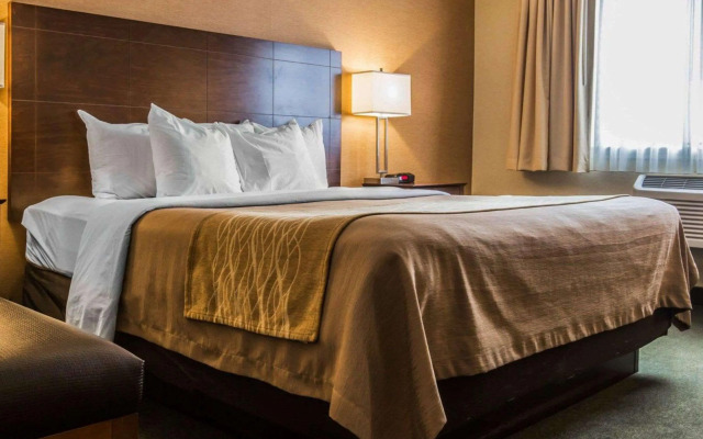 Comfort Inn & Suites Montpelier-Berlin