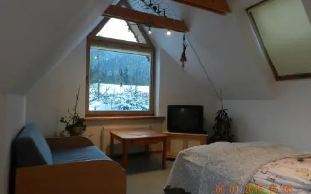 Apartamencik z Widokiem Na Giewont