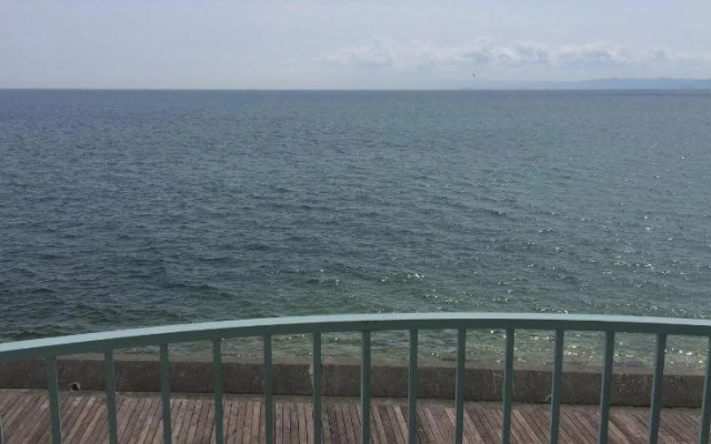 Awaji TT House II Pacific Over Seas (Awajishima)