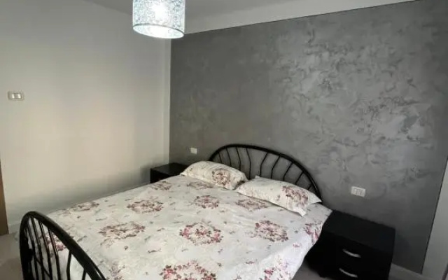 Borșa ApartHotel 4