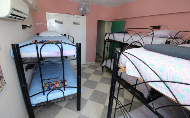 Enzo's Backpackers