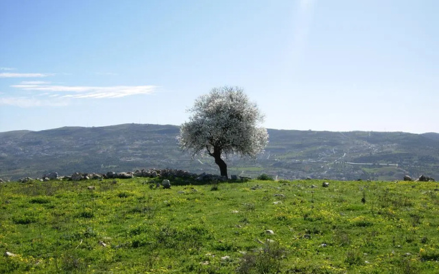 Ajloun Hotel