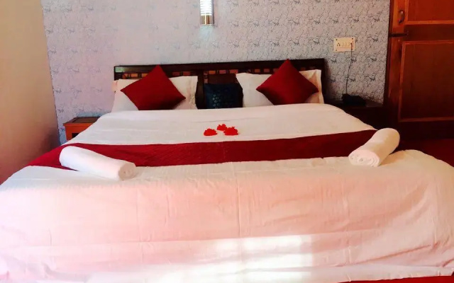 Hotel Alpine Manali