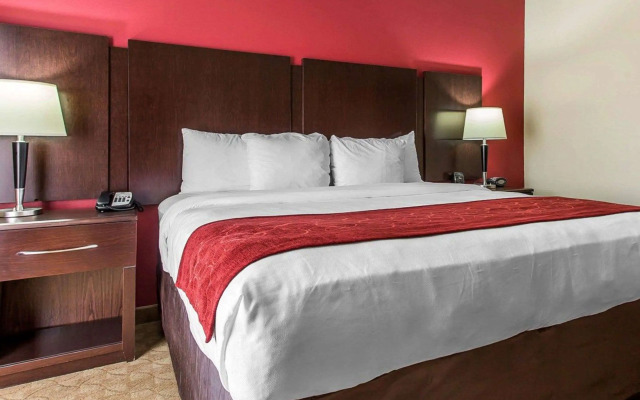 Comfort Suites Stockbridge Atlanta South