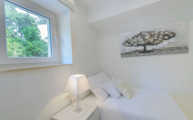 Best Location Apartments