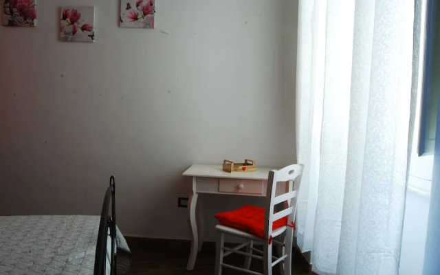 Dani's House