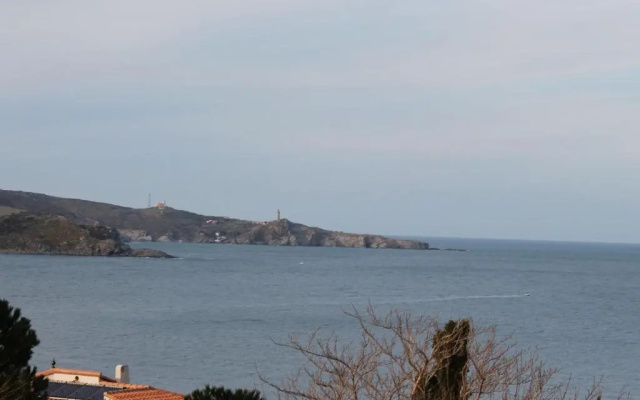 Appartement Banyuls-sur-Mer, 1 pièce, 4 personnes - FR-1-309-90