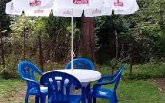 Sakhalvasho Teas Guest Hous