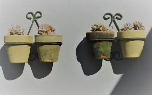 Three Small Trees
