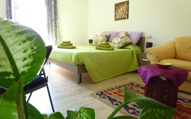 B&B Luce Viola