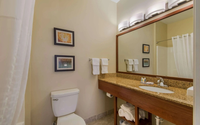 Comfort Inn & Suites Barnesville - Frackville