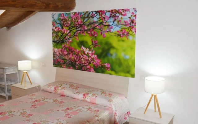 B&B Il Borgo Fiorito