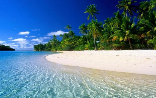 Chill Spot