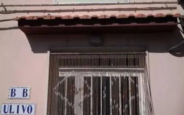 Ulivo