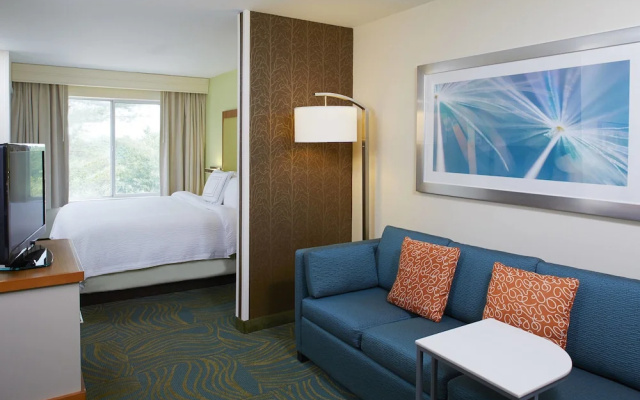 Springhill Suites Atlanta Six Flags